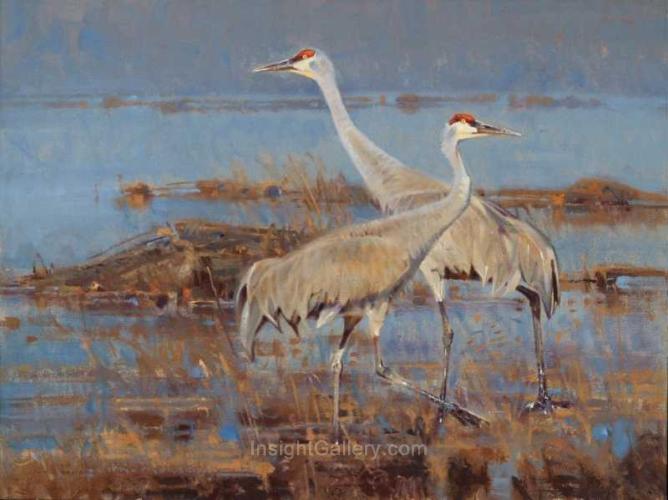 Early Spring Marsh Sandhill Cranes by James Morgan